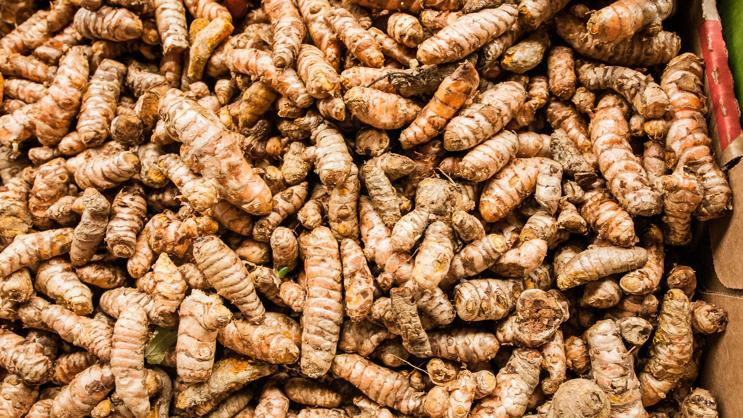 Manfaat Kunyit Putih  Untuk Kesehatan Pencernaan Dan Sendi